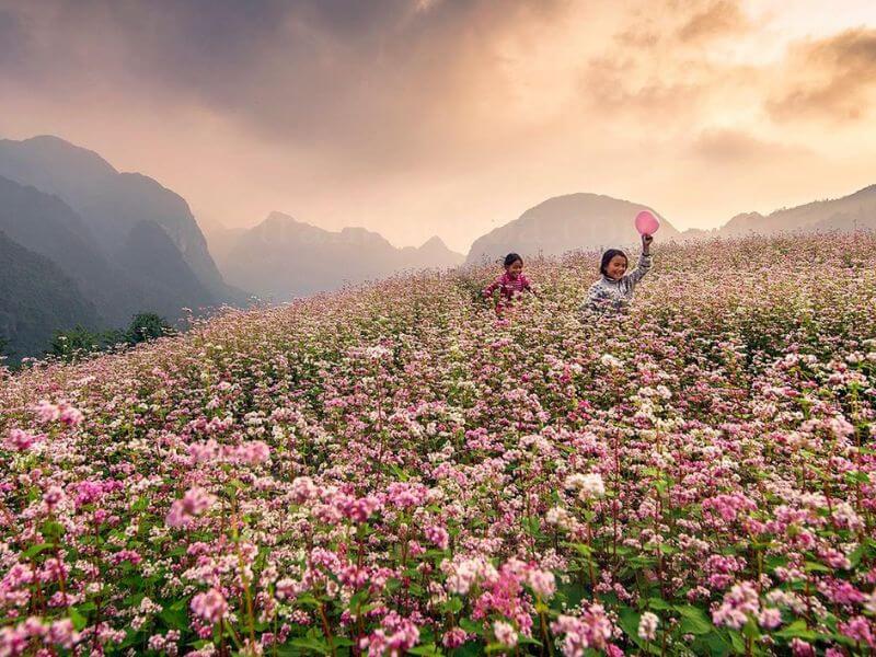 Cao nguyên đá Đồng Văn có gì để trải nghiệm?