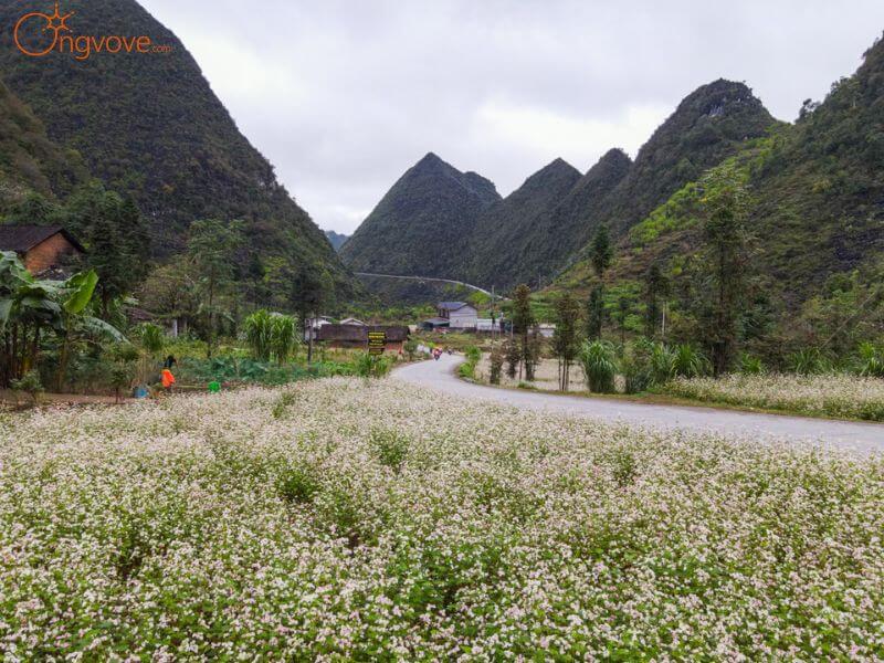 Di chuyển đến Cao nguyên đá Đồng Văn