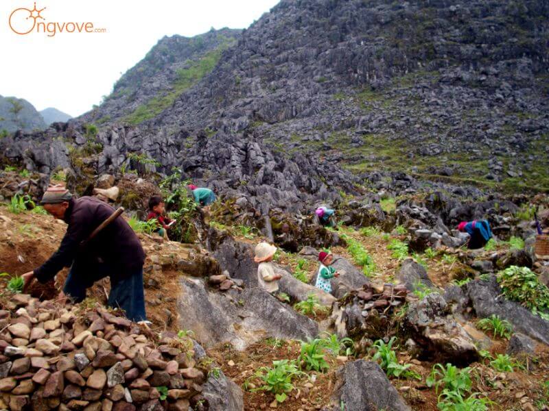 Lịch sử hình thành Cao nguyên đá Đồng Văn