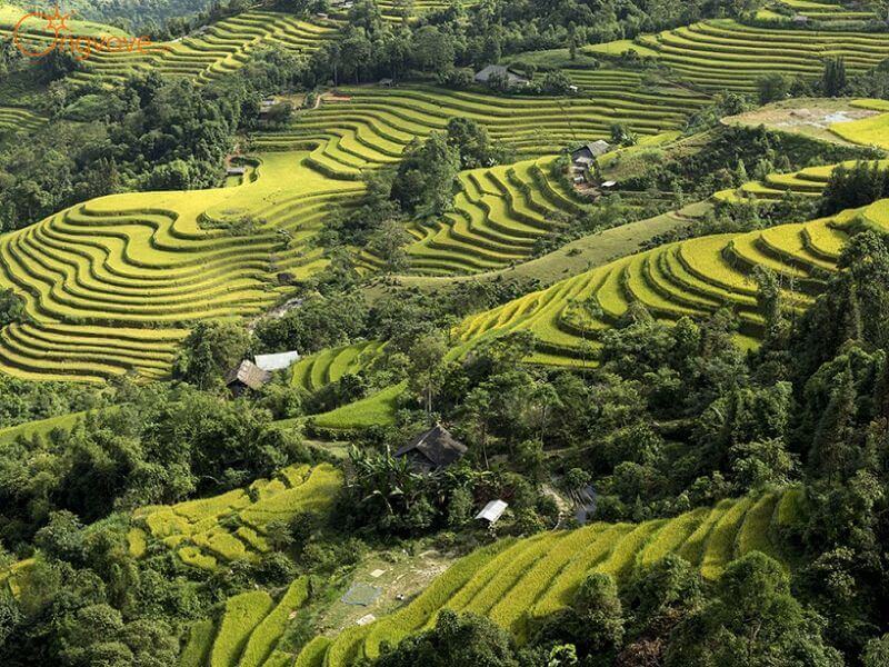 Giới Thiệu Về Di Sản Ruộng Bậc Thang Hoàng Su Phì