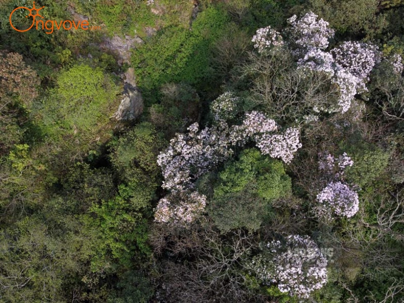 Cách di chuyển đến Phia Oắc - Phia Đén