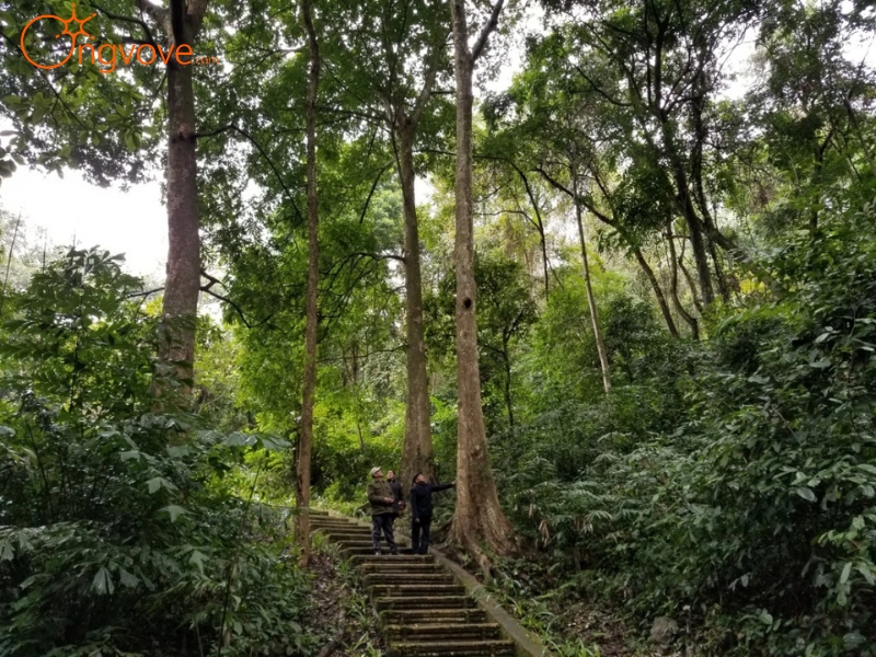 Lịch sử hình thành và phát triển