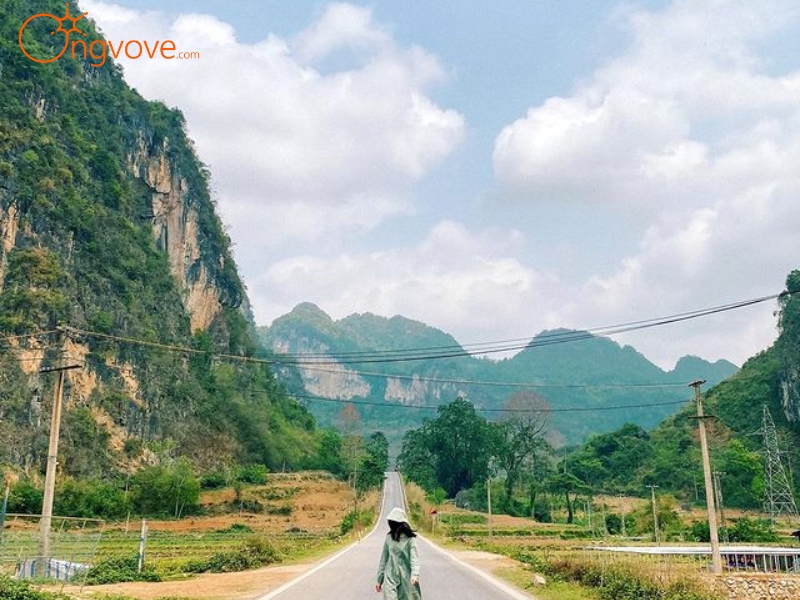 Dịch vụ du lịch Đèo Mã Phục tại Ong Vò Vẽ Travel