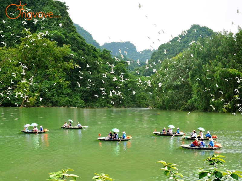 Sử Dụng Các Dịch Vụ Du Lịch "Tam Cốc - Bích Động Ninh Bình Tự Túc" Tại Nền Tảng Ong Vò Vẽ Travel