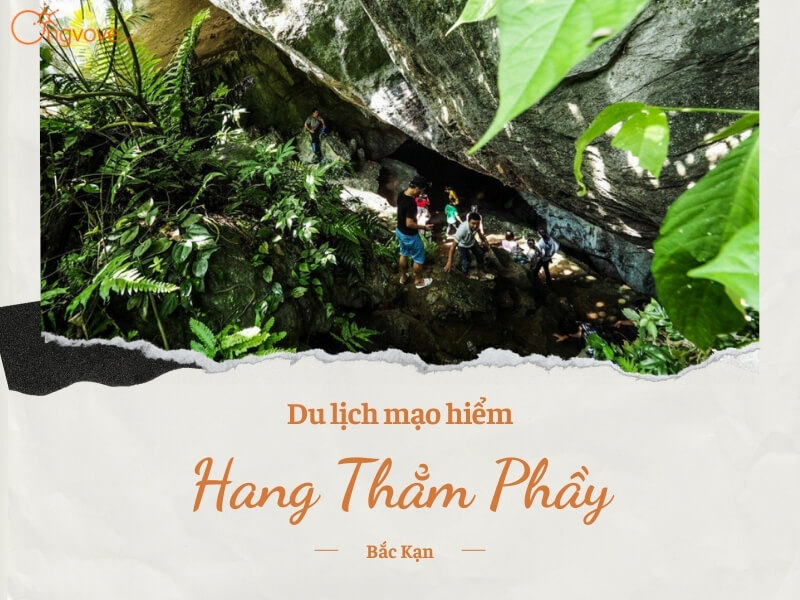 Du Lịch Mạo Hiểm Tại Hang Thẳm Phầy