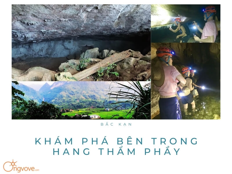 Khám Phá Bên Trong Hang Thẳm Phầy