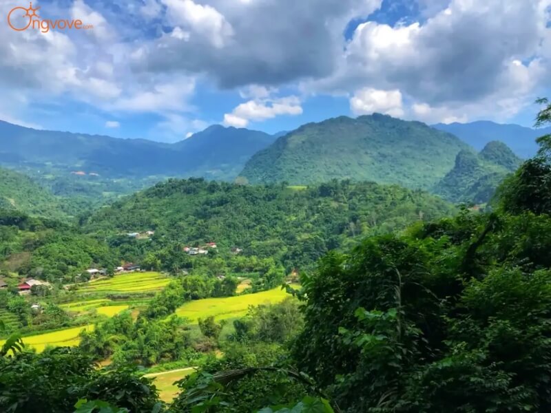 Lưu trú và ăn uống ở đâu