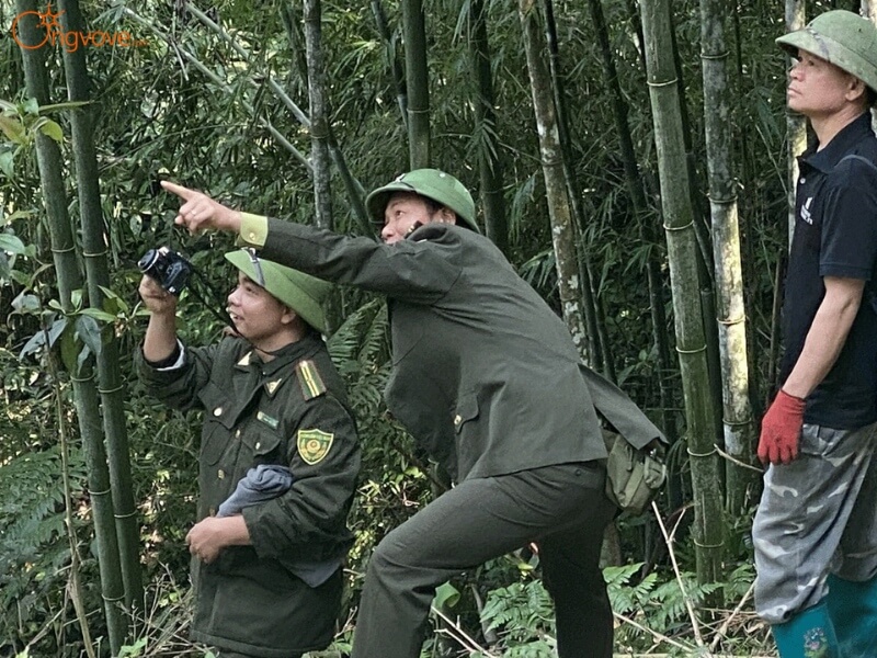 Lưu ý khi tham quan khu bảo tồn thiên nhiên Kim Hỷ