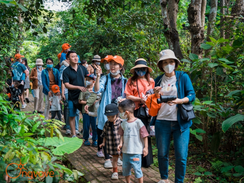 Những Hoạt Động Trải Nghiệm Không Thể Bỏ Qua