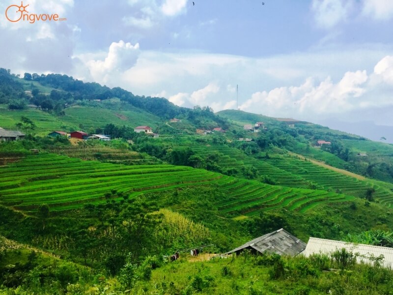 Mù Là Có Gì Đẹp?
