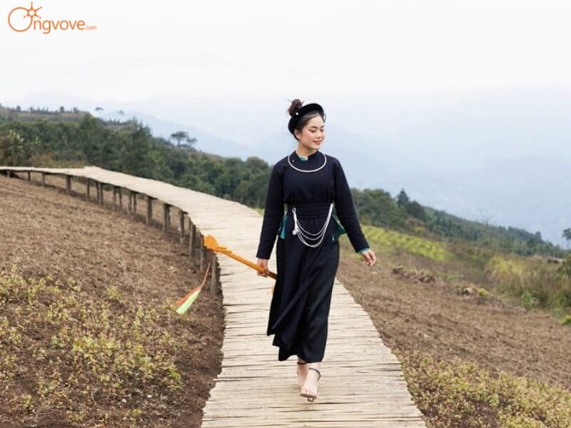 Những Hoạt Động Không Thể Bỏ Lỡ 