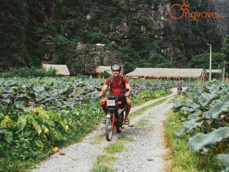 Phương Tiện Di Chuyển Đến Hang Múa Ninh Bình Nhanh Nhất