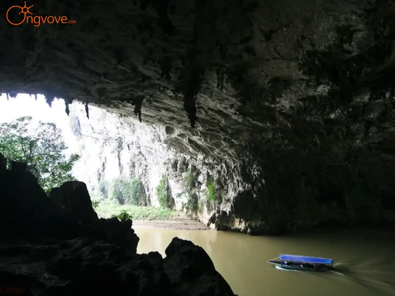 Dịch vụ du lịch Động Puông tại Ong Vò Vẽ Travel