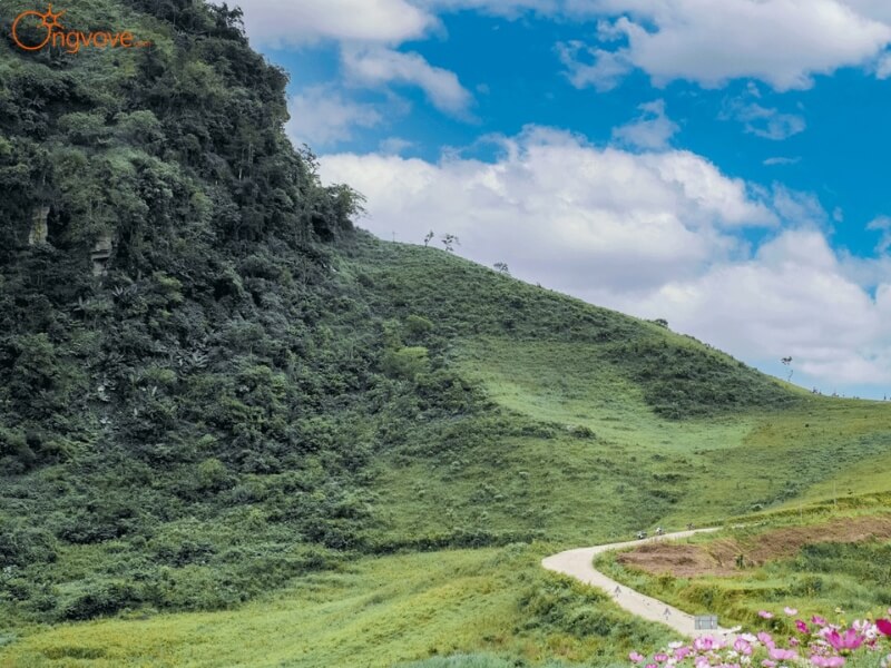 Dịch Vụ Du Lịch "Mù Là" Tại Ong Vò Vẽ Travel