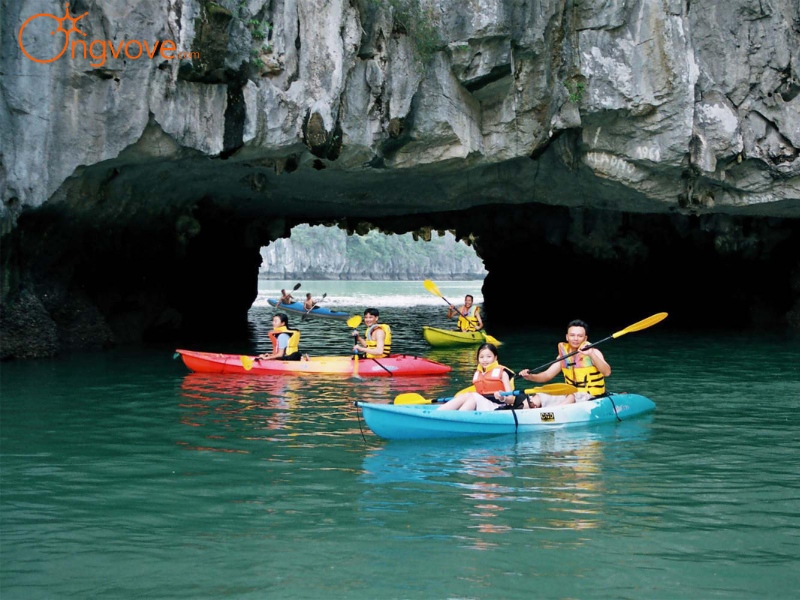 Sử Dụng Các Dịch Vụ Du Lịch "Hang Sáng - Hang Tối Tại Ninh Bình Tự Túc" Tại Nền Tảng Ong Vò Vẽ Travel