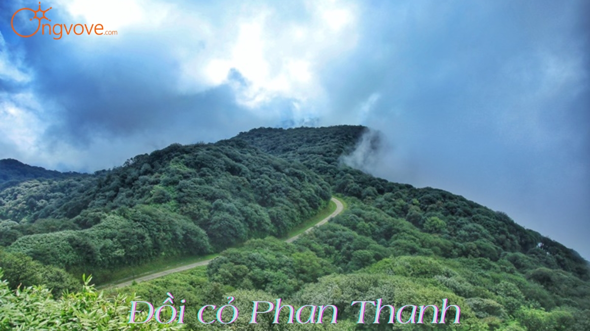 Du Lịch Đồi cỏ Phan Thanh Cao Bằng tự túc