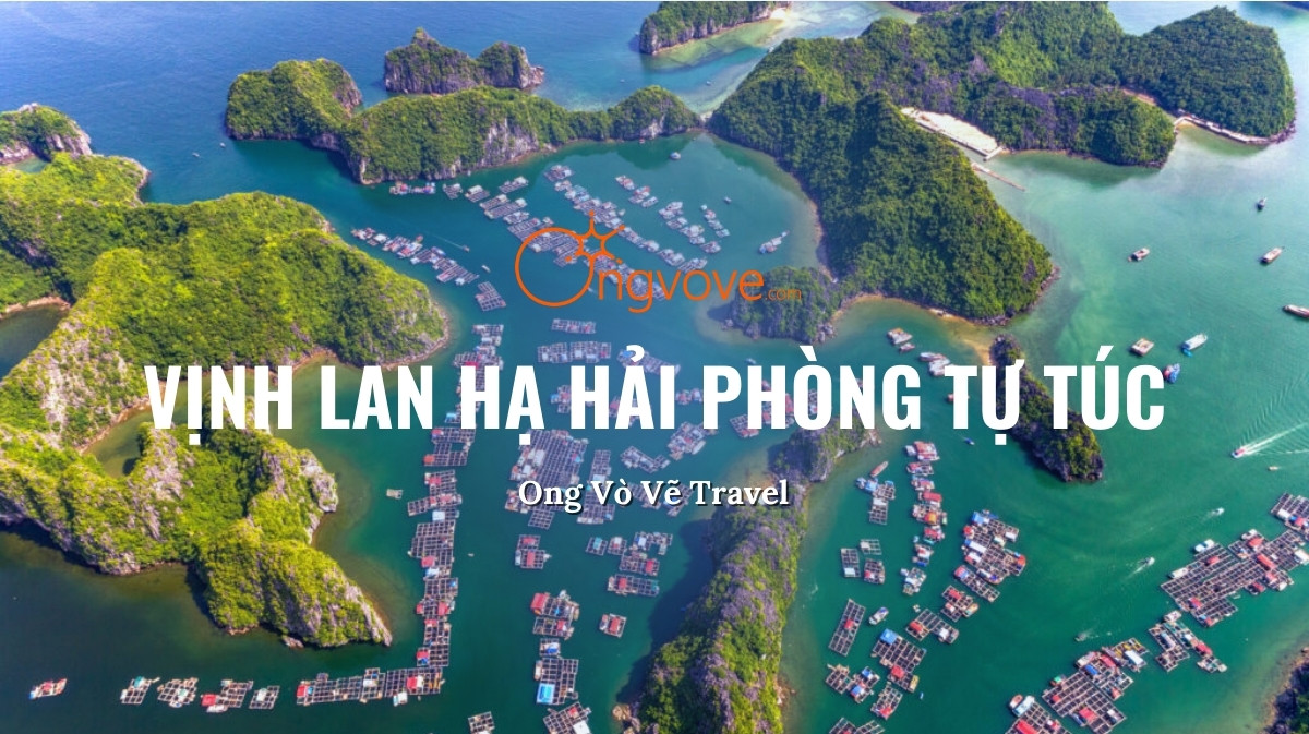 Vịnh Lan Hạ Hải Phòng Tự Túc: Địa điểm Du Lịch Sinh Thái Tuyệt Đẹp