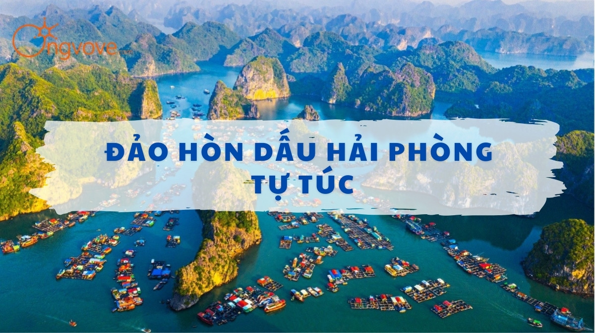 Đảo Cát Bà Hải Phòng Tự Túc: Khám Phá “Thiên Đường” Du Lịch Biển Tuyệt Đẹp Tự Túc