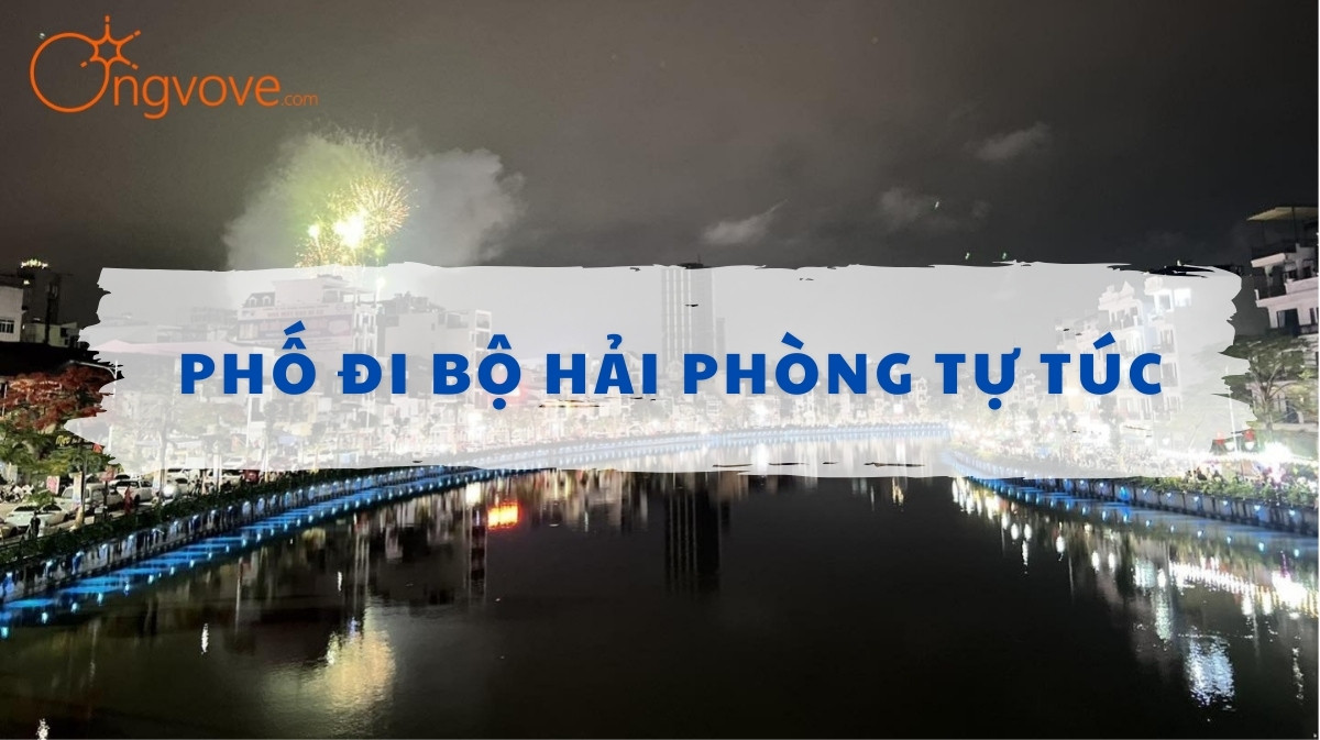 Phố đi bộ Hải Phòng Tự Túc – Điểm hẹn sôi động giữa lòng thành phố cảng