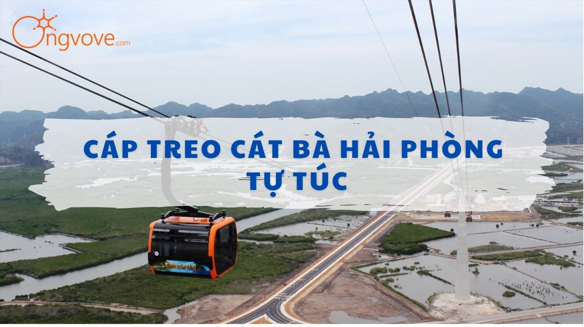 Cáp Treo Cát Bà Hải Phòng Tự Túc - Trải Nghiệm Độc Đáo Khám Phá Thiên Nhiên Tuyệt Đẹp