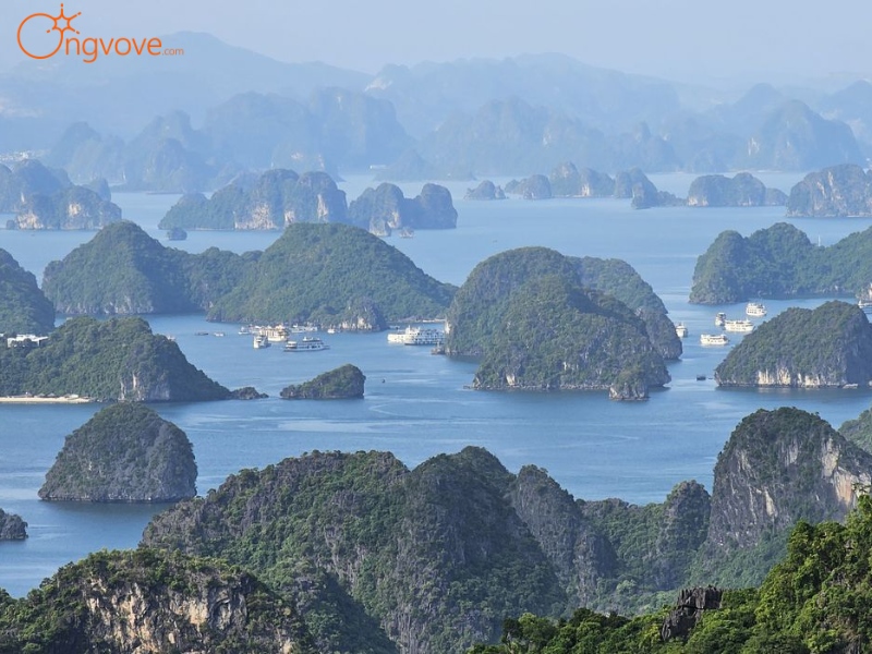 Ăn Uống Và Lưu Trú Khi Du Lịch Gần Navy Peak Telecom Tower Hải Phòng Tự Túc