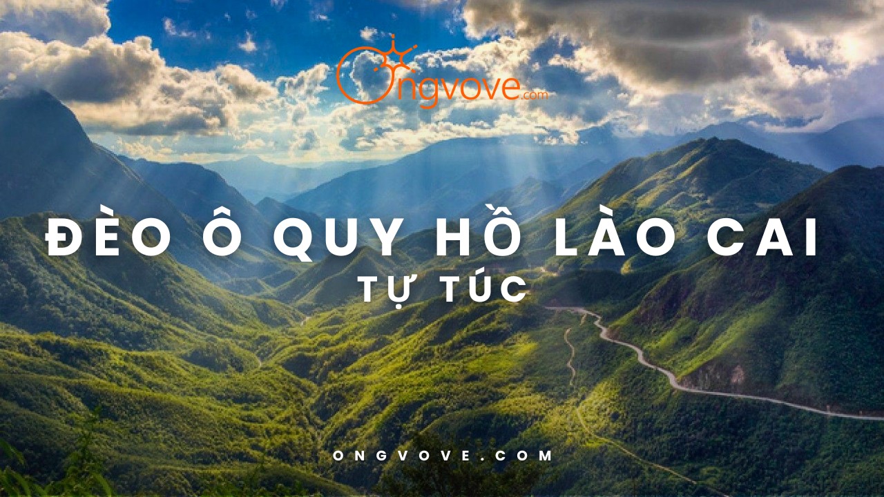 Đèo Ô Quy Hồ Lào Cai Tự Túc - Cung Đường Săn Mây Hùng Vĩ Tây Bắc