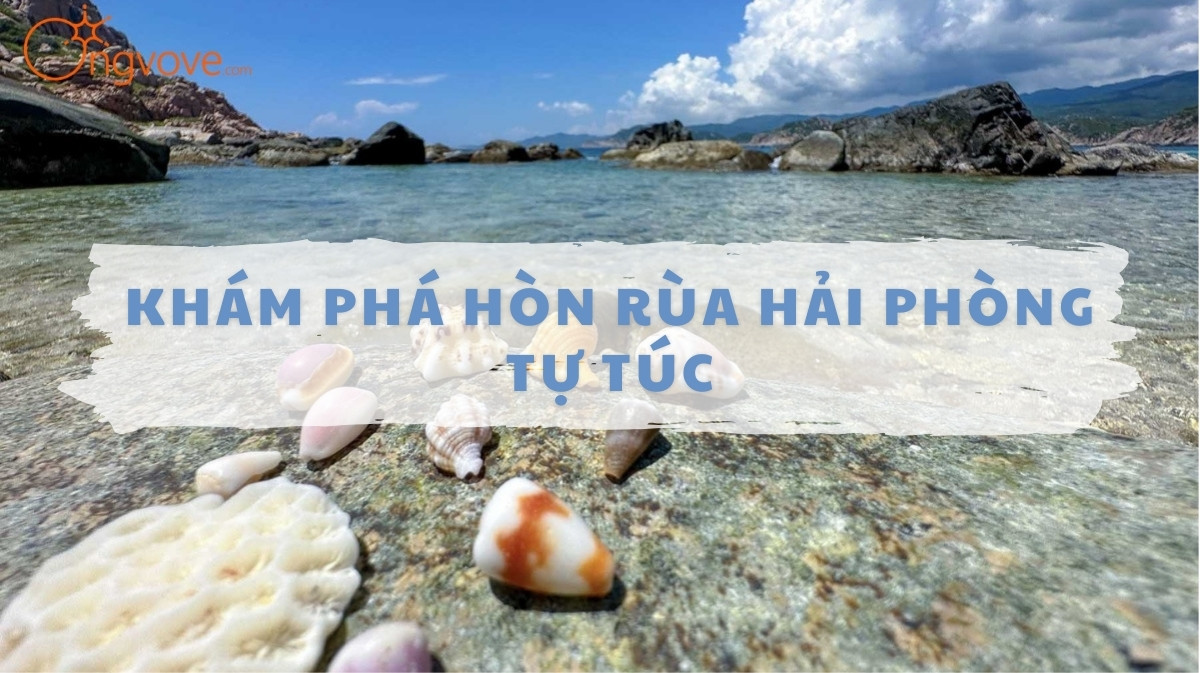 Khám Phá Hòn Rùa Hải Phòng Tự Túc: Viên Ngọc Biển Vẹn Nguyên Vẻ Đẹp Hoang Sơ