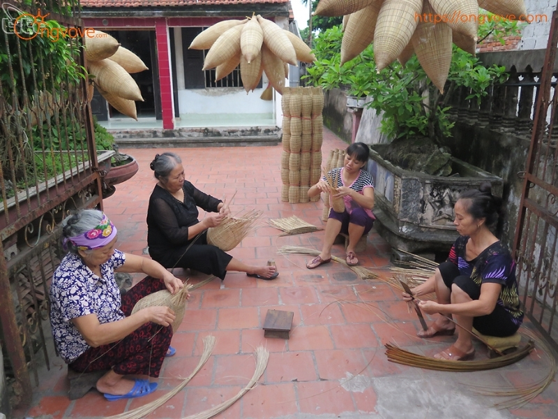 Các Dịch Vụ Lưu Trú Làng Hương Cao Thôn Hưng Yên Tự Túc Tự Túc