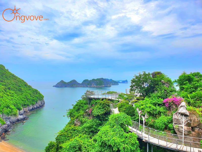 Giới Thiệu Tổng Quan Về SUNSET VIEW POINT Hải Phòng Tự Túc