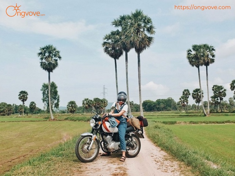 Phương Tiện Di Chuyển Phố Hiến Hưng Yên Tự Túc Tự Túc: Đi lại dễ dàng