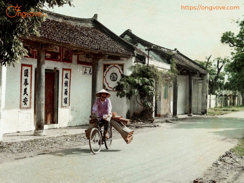 Các Dịch Vụ Lưu Trú Phố Hiến Hưng Yên Tự Túc Tự Túc: Lựa chọn đa dạng