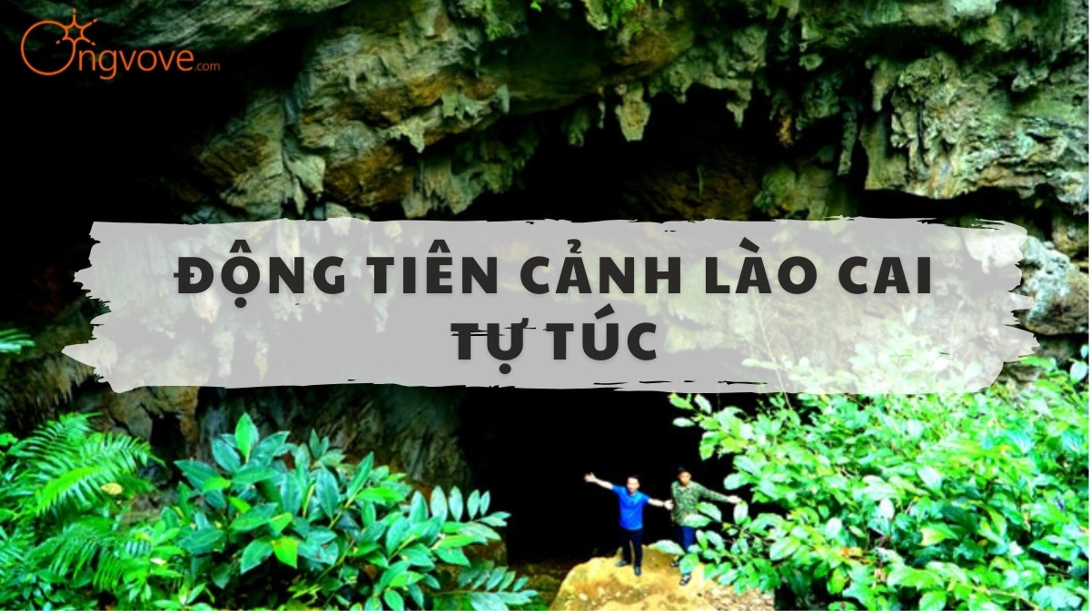 Động Tiên Cảnh Lào Cai Tự Túc: Khám Phá Chốn Bồng Lai Tiên Cảnh Giữa Lòng Tây Bắc