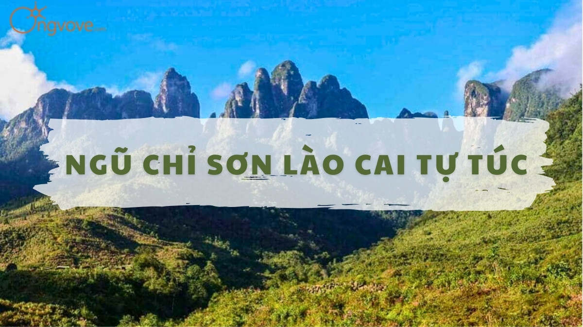 Ngũ Chỉ Sơn Lào Cai Tự Túc: Huyền Thoại Nóc Nhà Đông Dương Gọi Tên