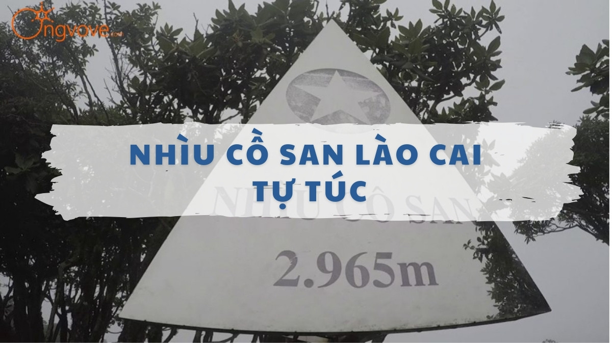 Khám Phá Nhìu Cồ San Lào Cai Tự Túc: Đỉnh Núi Hùng Vĩ và Những Trải Nghiệm Du Lịch Đặc Sắc