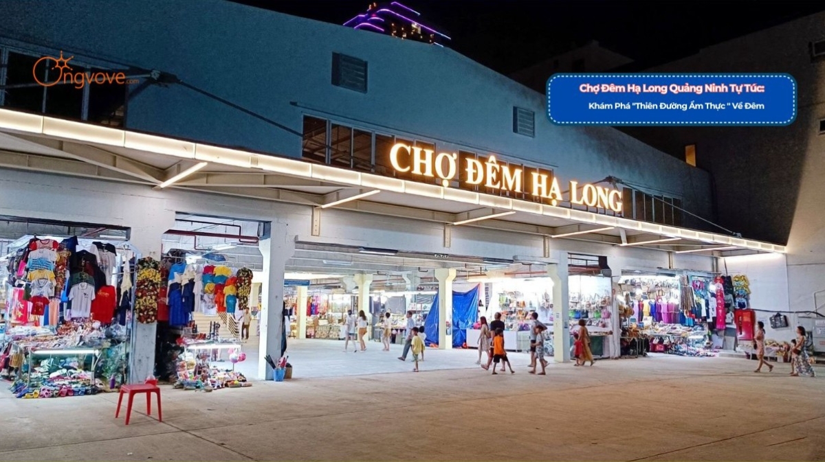 Chợ Đêm Hạ Long Quảng Ninh Tự Túc - Khám Phá "Thiên Đường Ẩm Thực và Mua Sắm" Về Đêm