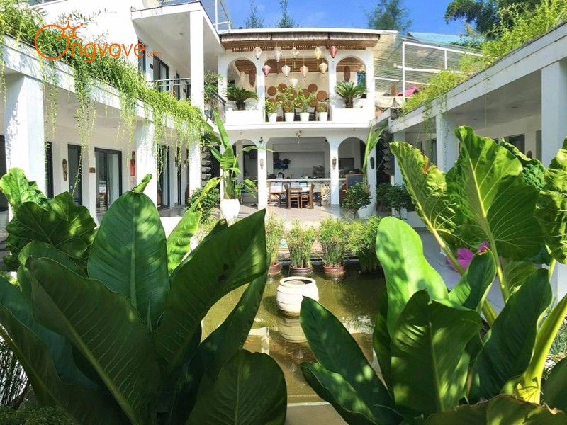 Các Dịch Vụ Lưu Trú Cô Tô Quảng Ninh