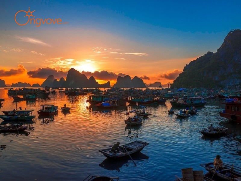 Kinh Tế Cô Tô Quảng Ninh