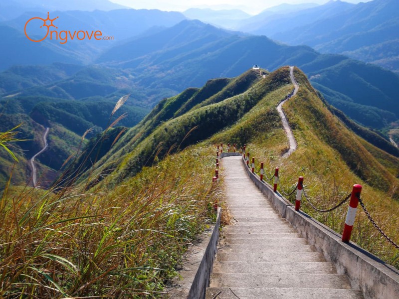 Ong Vò Vẽ Travel Chuyên Cung Cấp Thông Tin Tour, Địa Điểm Du Lịch Tại Cột mốc 1305 Quảng Ninh Tự Túc