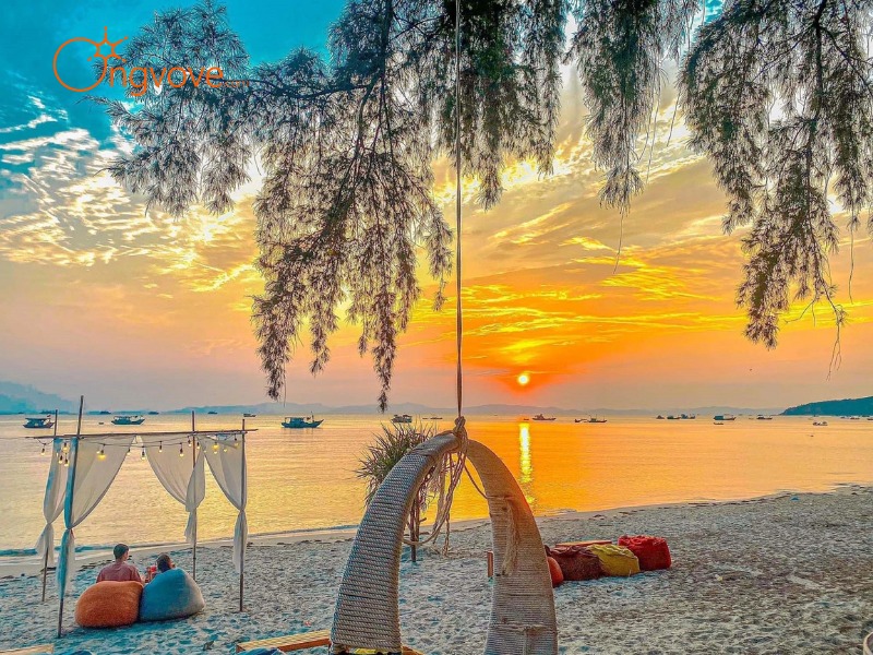 Ong Vò Vẽ Travel Chuyên Cung Cấp Thông Tin Tour, Địa Điểm Du Lịch Tại Cô Tô Quảng Ninh