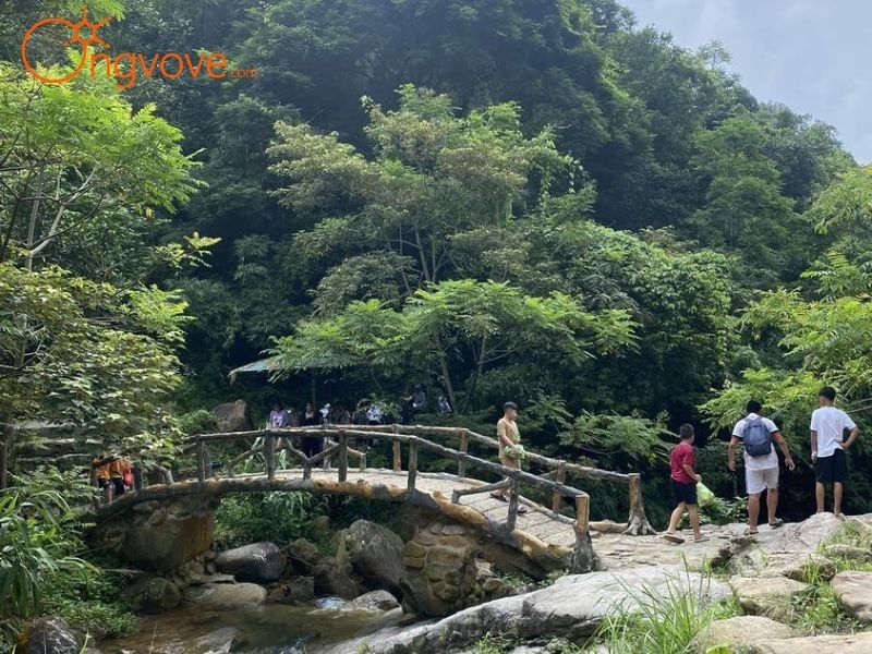 Cách di chuyển đến Lựng Xanh như thế nào?