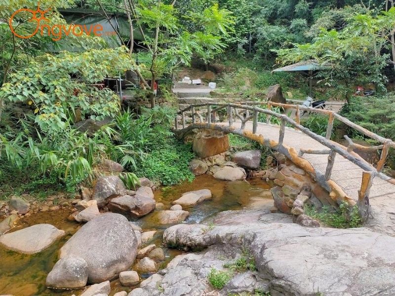 Giới thiệu Lựng Xanh - “Bồng lai tiên cảnh” Quảng Ninh
