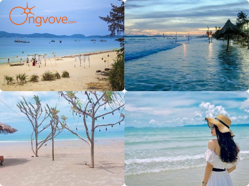 Gợi Ý Điểm Đến Hấp Dẫn Gần Trạm Hải Đăng Cô Tô