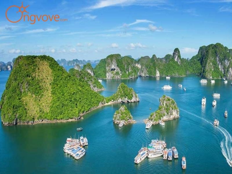 Hướng Dẫn Di Chuyển Đến Khu Du Lịch Cẩm Phả