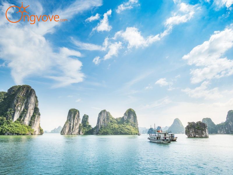 Lợi Ích Khi Sử Dụng Dịch Vụ Của Ong Vò Vẽ Travel