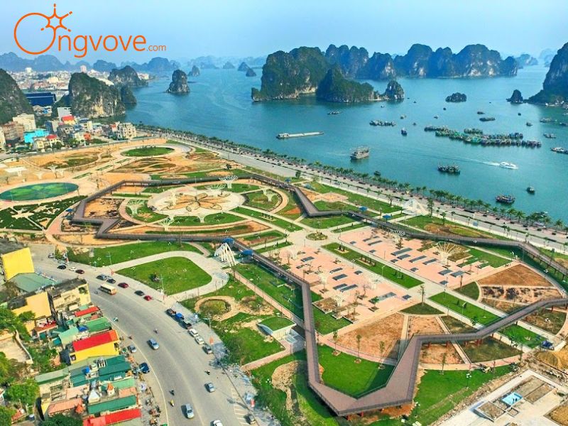 Lợi ích khi sử dụng dịch vụ du lịch Công viên hoa Hạ Long qua Ong Vò Vẽ Travel