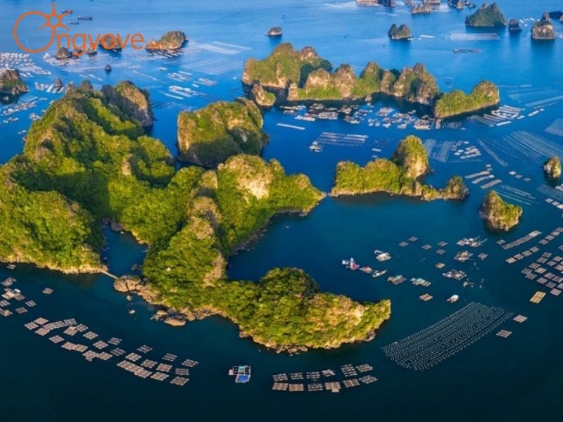 Nên Đi Biển Vân Đồn Vào Mùa Nào?