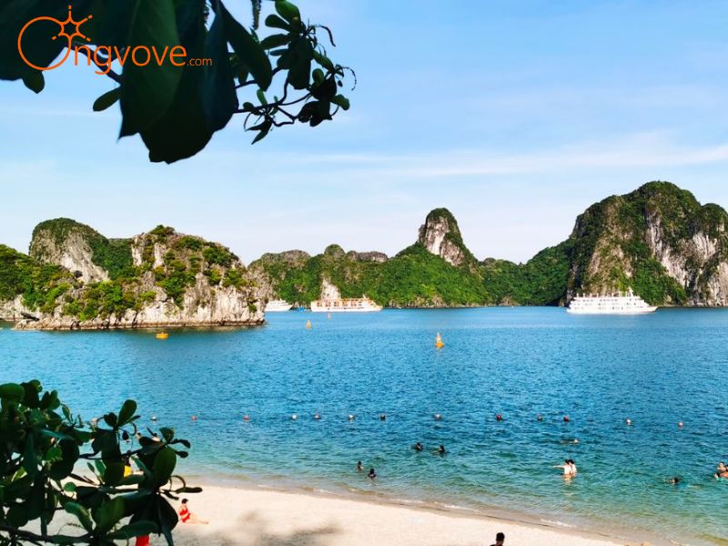 Sử Dụng Các Dịch Vụ Du Lịch Biển Cẩm Phả Quảng Ninh Tại Nền Tảng Ong Vò Vẽ Travel