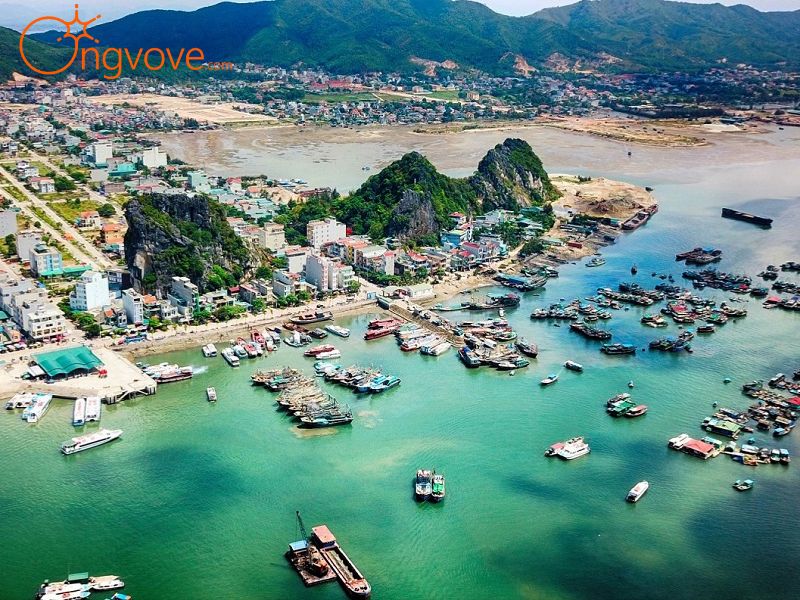 Sử Dụng Các Dịch Vụ Du Lịch Biển Vân Đồn Quảng Ninh Tại Nền Tảng Ong Vò Vẽ Travel