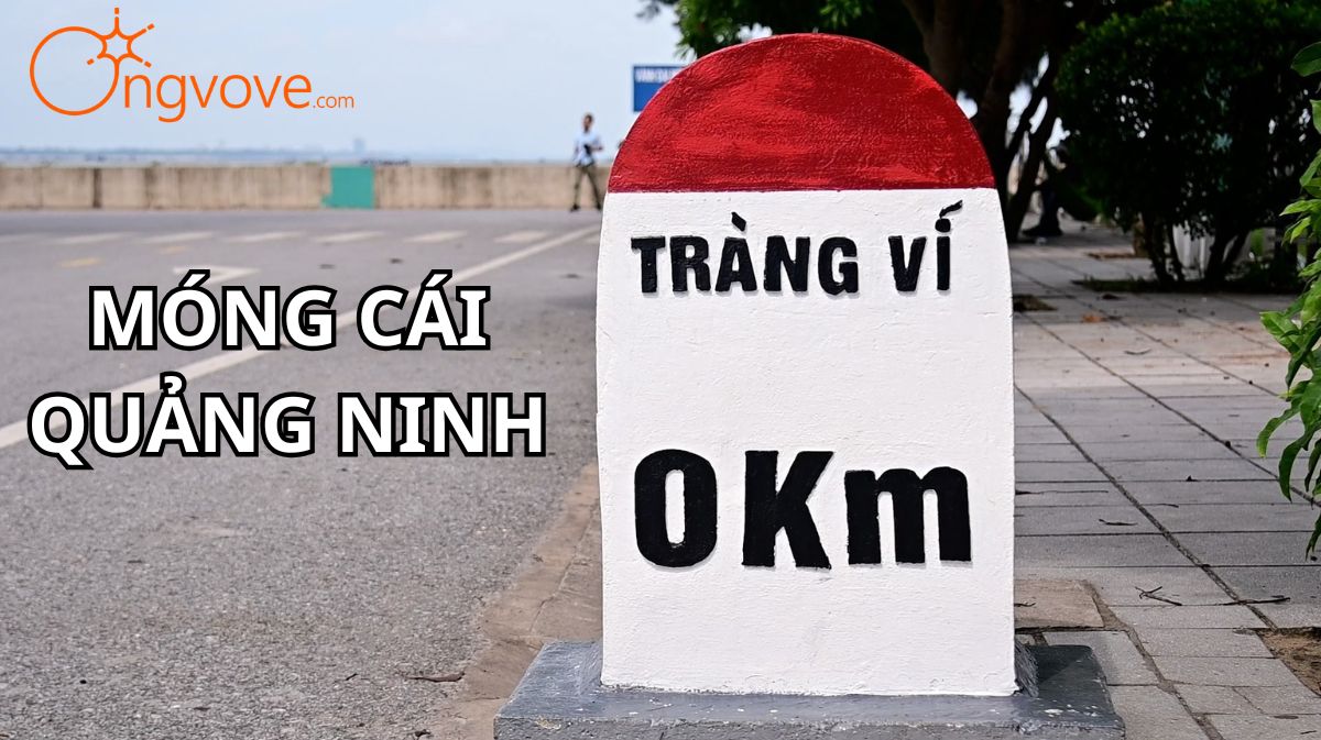 Tràng Vĩ Móng Cái Quảng Ninh
