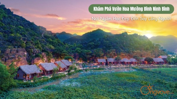 Vườn Hoa Mường Đình Ninh Bình